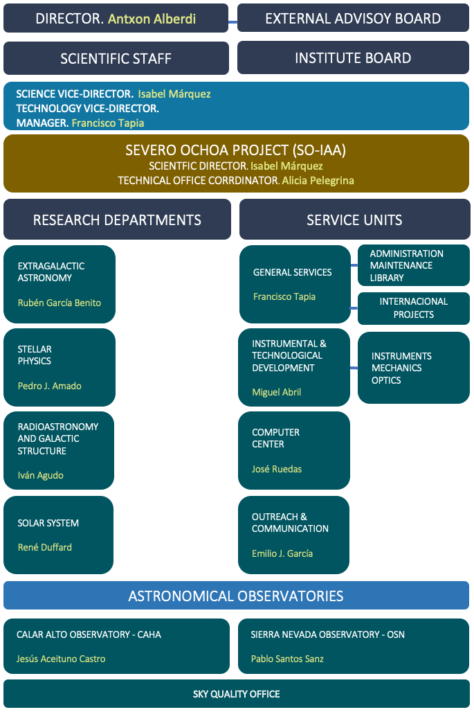 Organizational Chart