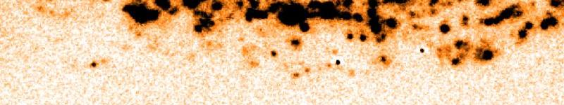 Imagen captada con OSIRIS, que muestra la distribución de las regiones H-Alpha en la galaxia NGC2770