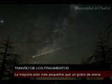 Draconids