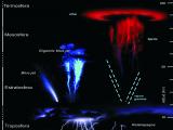 Electrical atmospheric phenomenons