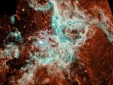 Nebulosa 30 Doradus
