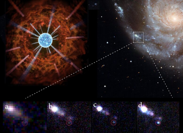Cazada una estrella supergigante roja recién colapsada