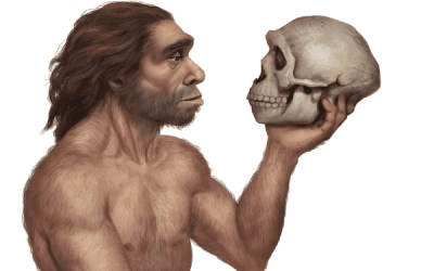 Evolución biológica y evolución cultural del género Homo