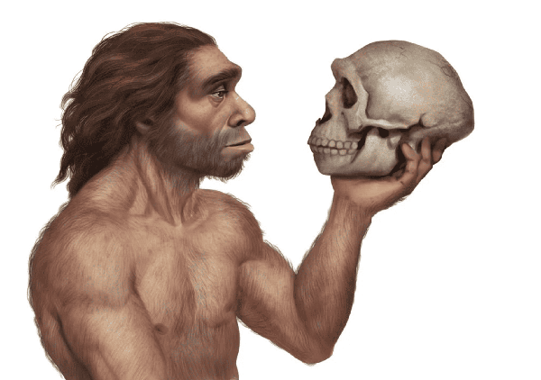 Evolución biológica y evolución cultural del género Homo