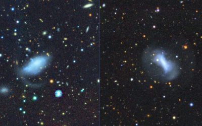 New evidence that smaller galaxies also experience cosmic “cannibalism”